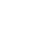 custom-devlopment